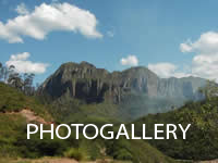 banner 2